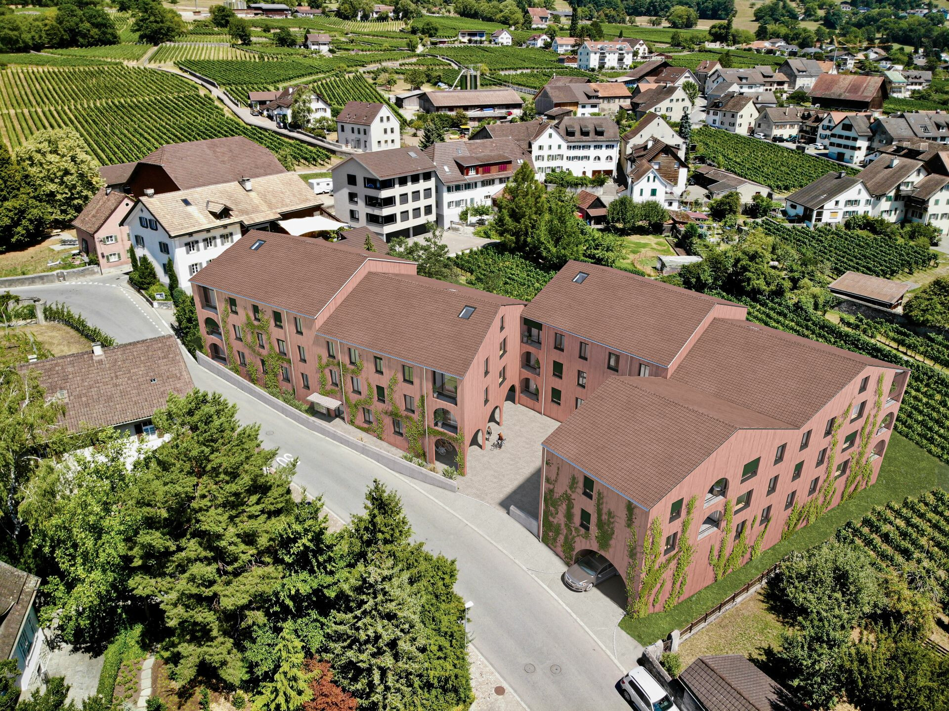 Projekt Torggelwingert in Maienfeld GR